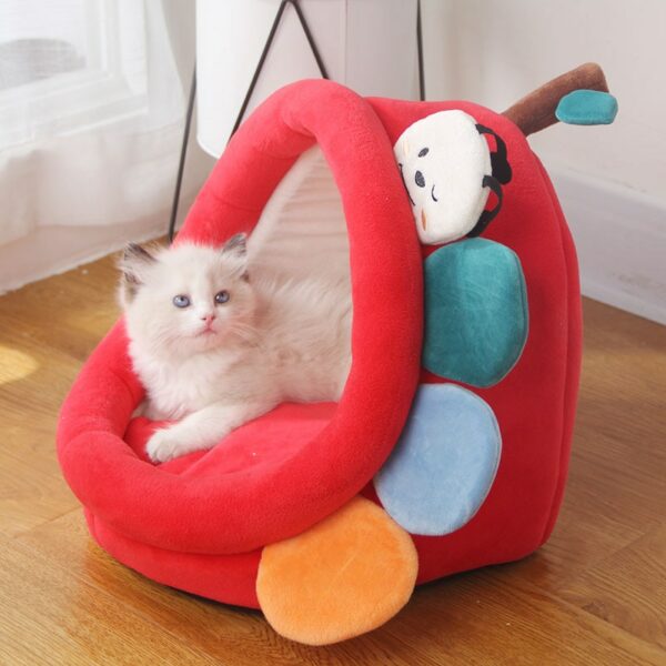 Cats Warm Bed