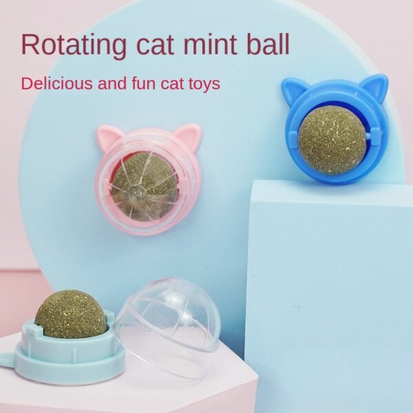 Natural Wall Stick-on Ball